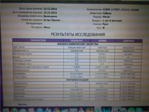 Анализ мочи с похмелья