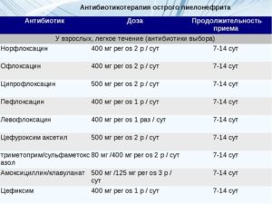 Антибиотик выбора при пиелонефрите