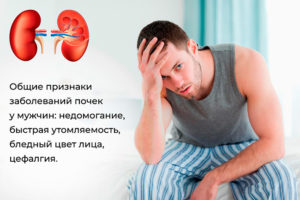 Болезнь почек у мужчин как лечить