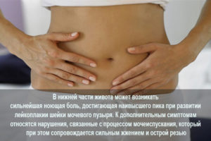 Болит низ живота где мочевой пузырь