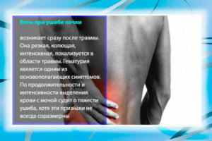 Болят почки в баню можно