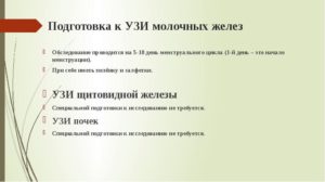 Что нельзя делать перед узи почек и мочевого пузыря