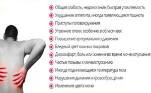 Что выпить когда сильно болят почки