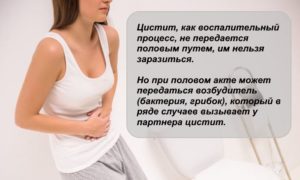 Цистит заразен или нет для партнера