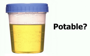 Цвет мочи при цистите у женщин