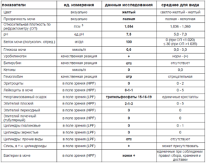 Эпителий плоский в моче норма у мужчин