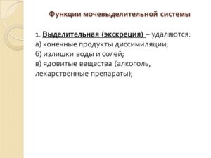 Функции мочевыделительной системы человека