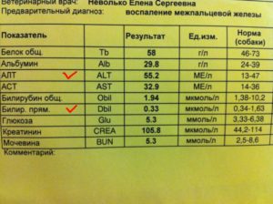 Как обозначается в анализах крови креатинин в