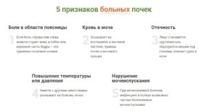 Как понять болит почка или спина