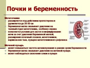 Как проверить почки при беременности