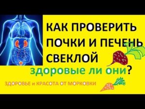 Как проверить здоровье печени и почек