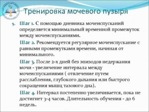 Как тренировать мочевой пузырь