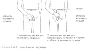Как тренировать мочевой пузырь