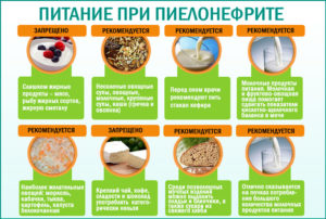 Какие фрукты можно употреблять при пиелонефрите