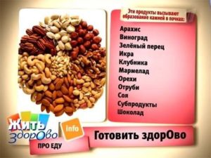 Какие продукты образуют камни в почках
