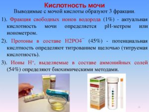 Кислотность мочи 5 что это значит