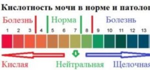 Кислотность мочи 5 что это значит