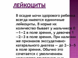 Лейкоциты 2 4 в моче у ребенка