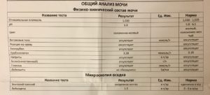 Лейкоциты в моче норма у мужчин норма