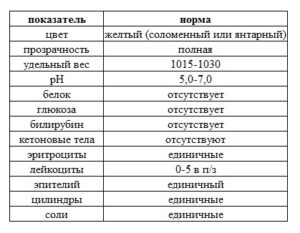 Лейкоциты в моче норма у мужчин норма