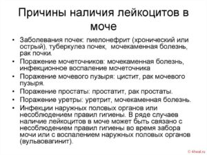 Лейкоциты в моче повышены у ребенка чем лечить