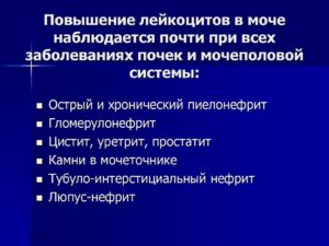 Лейкоциты в моче повышены у ребенка чем лечить
