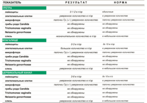 Лейкоциты в уретре у женщин
