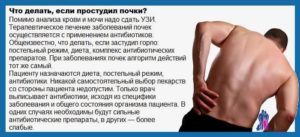 Ломит почки при простуде