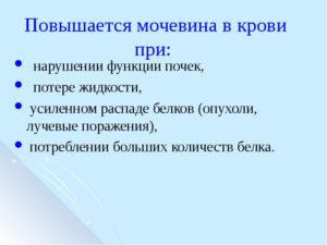 Мочевина в крови выше нормы