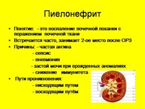 Можно ли пить при пиелонефрите