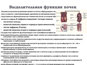 Нарушение экскреторной функции левой почки