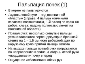 Перкуссия почек в норме