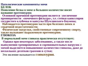 Почему белок в моче у женщин