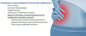 Почему болят почки после еды