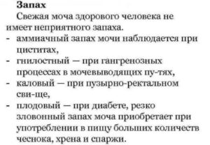 Почему моча пахнет рыбой у ребенка