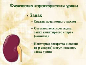 Почему моча пахнет рыбой у ребенка