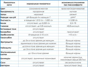 Показатели общего анализа мочи при остром пиелонефрите