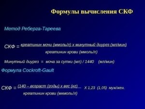 Проба реберга формула расчета