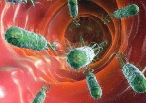 Протей мирабилис в моче лечение