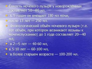 Сколько вмещает мочевой пузырь взрослого человека
