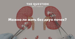 Сколько проживет человек без почки