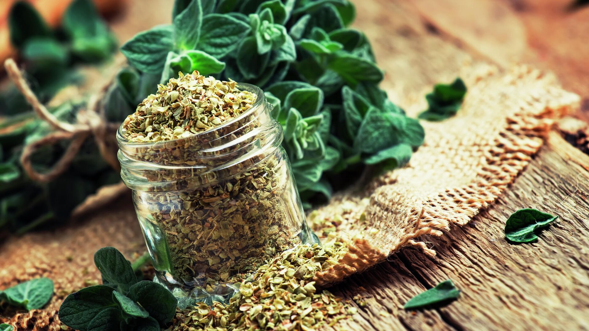 Сушеный и свежий орегано Сушеный и свежий орегано - РИА Новости, 1920, 01.12.2020