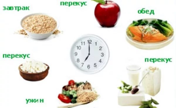 Правильное питание и перекусы, полезные перекусы, время для перекусов