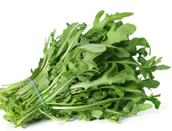 Руккола польза и вред для организма человека