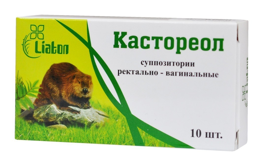 Бобровая струя: от каких болезней, показания к применению, лечебные свойства струи бобра