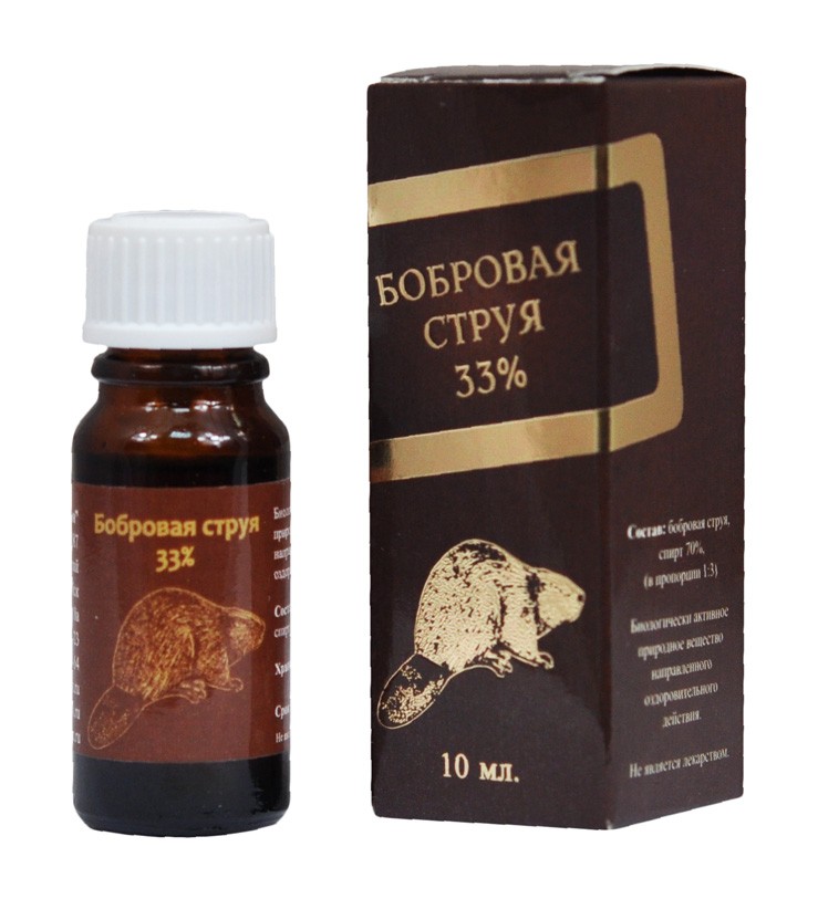 Бобровая струя: от каких болезней, показания к применению, лечебные свойства струи бобра