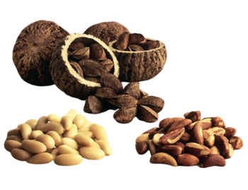 Бразильский орех