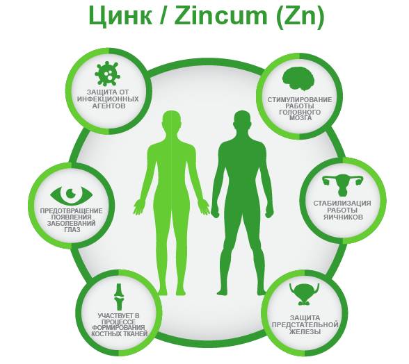 Цинк / Zincum (Zn) Для чего нужен организму