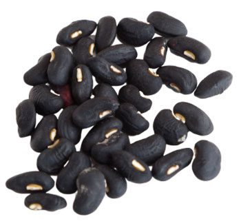 Фасоль чёрная