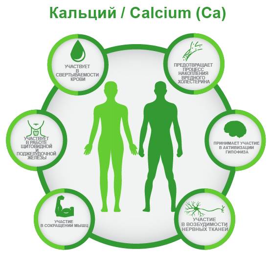 Кальций Calcium (Ca)
